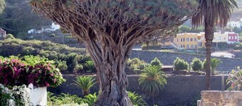 AMAZING VIEWS OF ATLANTIC & TEIDE WITH PRIVATE TERRACE , POOL & BBQ