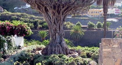 AMAZING VIEWS OF ATLANTIC & TEIDE WITH PRIVATE TERRACE , POOL & BBQ