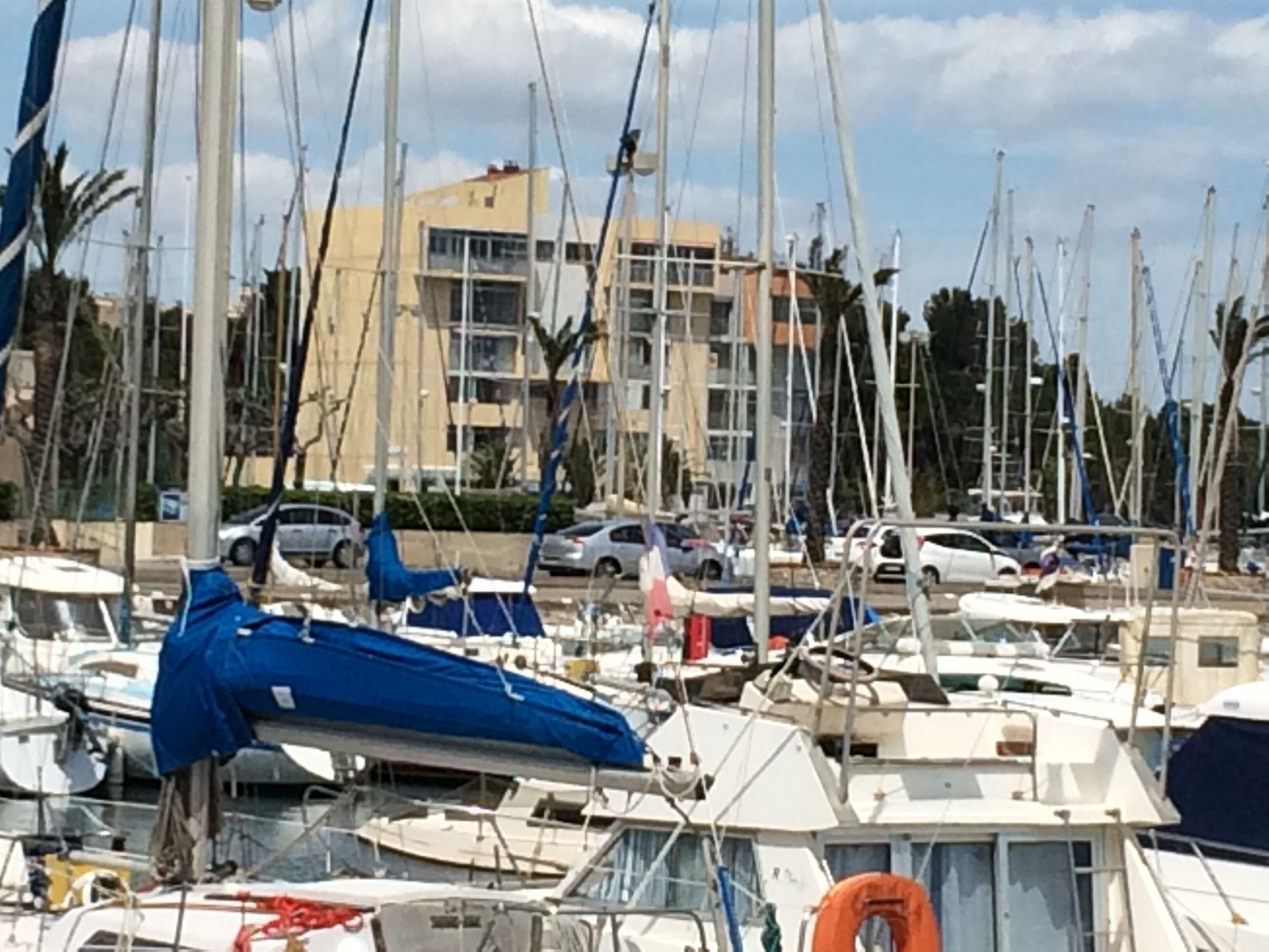 A marina with multiple boats docked, surrounded by buildings and parked cars.
