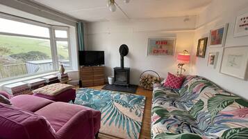 Smart TV, fireplace, video games, DVD player