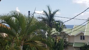 A residential area with a white fence, palm trees, and a building with a green roof. - Magnificent sea and mountain views from the roof terrace. Quiet and restful place (Morc. Anna, Flic en Flac)