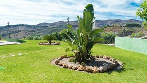 Un jardin aménagé avec un élément décoratif central en forme de cercle composé de rochers et de grandes plantes à larges feuilles, le tout se détachant sur un arrière-plan de collines et d’un ciel dégagé.