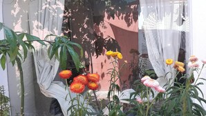 Une pièce accueillante avec une arche blanche incurvée, une fenêtre ornée de rideaux légers, et une variété de plantes et de fleurs au premier plan.