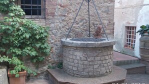 Ein Stebrunnen mit einem Metallgitter, umgeben von einer rustikalen Steinmauer und einem Blumentopf.