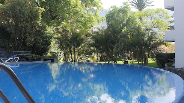 Una piscina rodeada de exuberante vegetación y un muro de piedra.