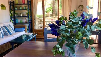 Télévision, cheminée, livres