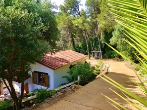 Terrein van de accommodatie