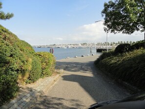 Unclassified image, 5 of 40, button