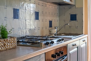 Een keuken met een gasfornuis, een spoelbak en een decoratieve tegelachtergrond.