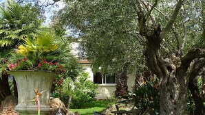 Ein Garten mit Buddha-Statue, Sitzgelegenheit und tropischen Pflanzen.
