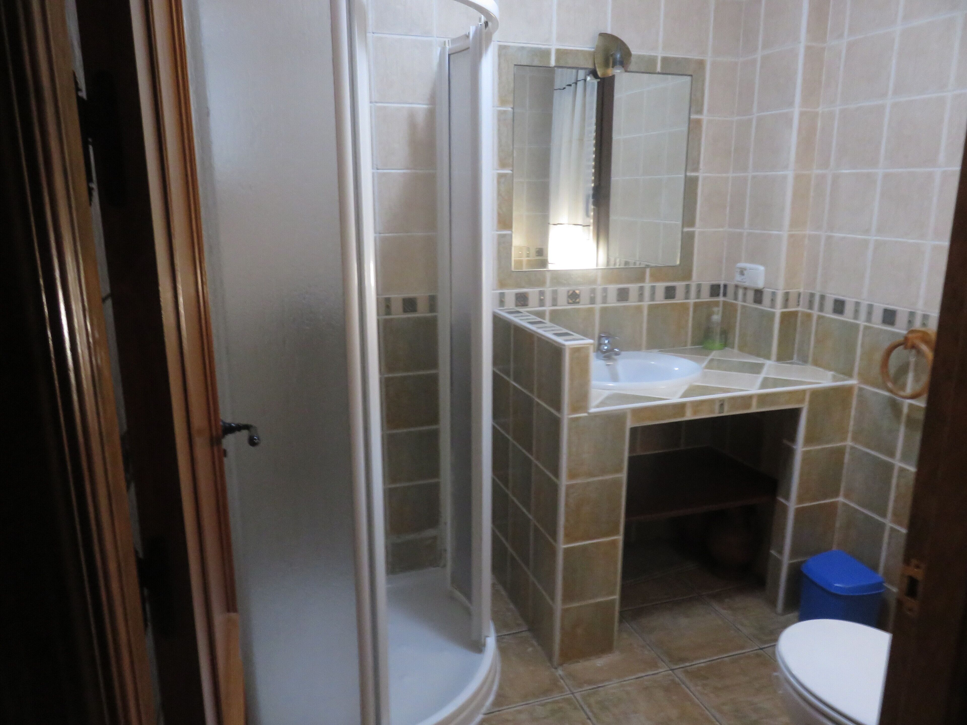 Een badkamer met een douche, wastafel en toilet.