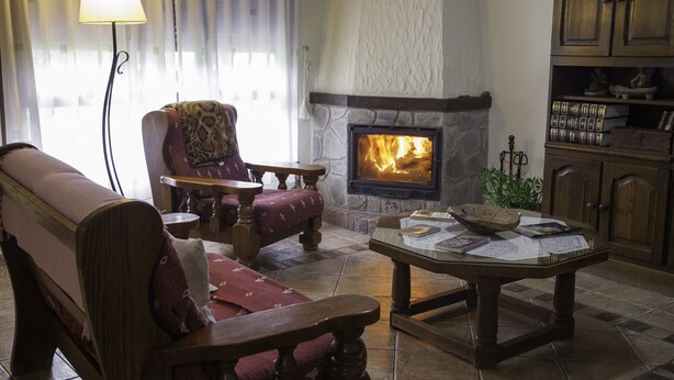 Un salon chaleureux avec une cheminée en pierre, des meubles en bois et une bibliothèque.