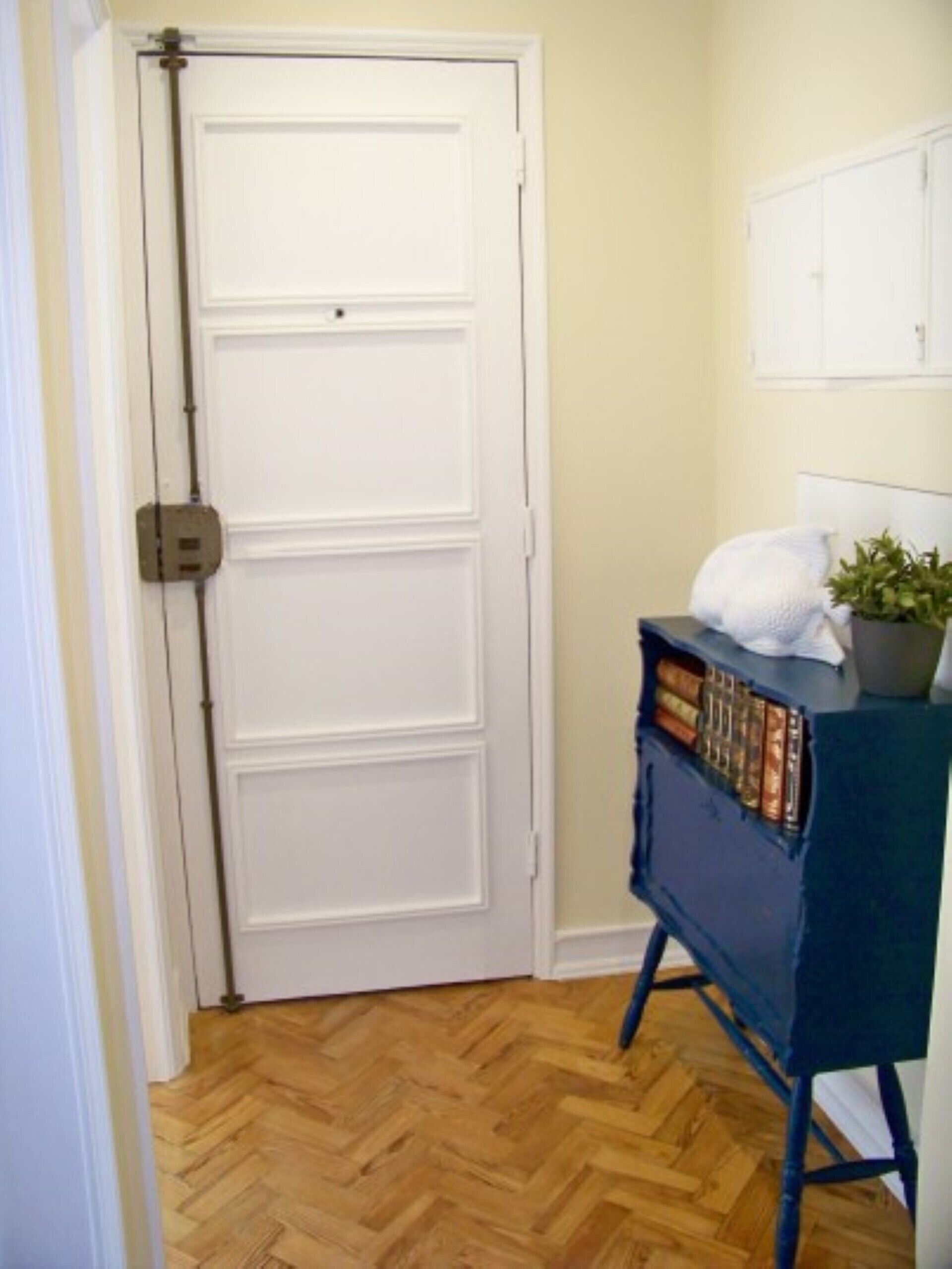 Una habitación con una puerta blanca, un armario azul lleno de libros y una planta en maceta sobre un estante blanco.