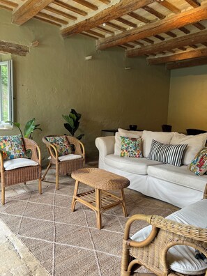 TV, caminetto, lettore DVD, tavolo da ping pong