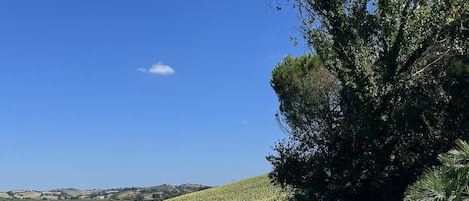 Una piscina al aire libre, una piscina climatizada