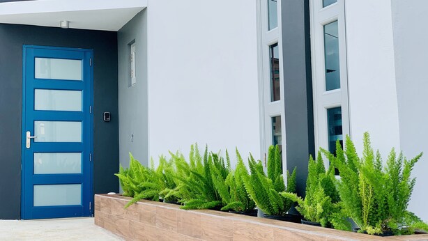 A modern building with a blue door, a wooden planter with green plants, and a grey and white facade. - Modern Suite - Pasavento Building (Aguadilla)