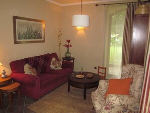 TV, fireplace, DVD player, books