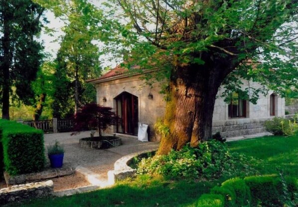 Stroll through the serene courtyard surrounded by lush greenery and a majestic tree, leading to a charming stone building.