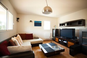 Televisión, chimenea y libros 
