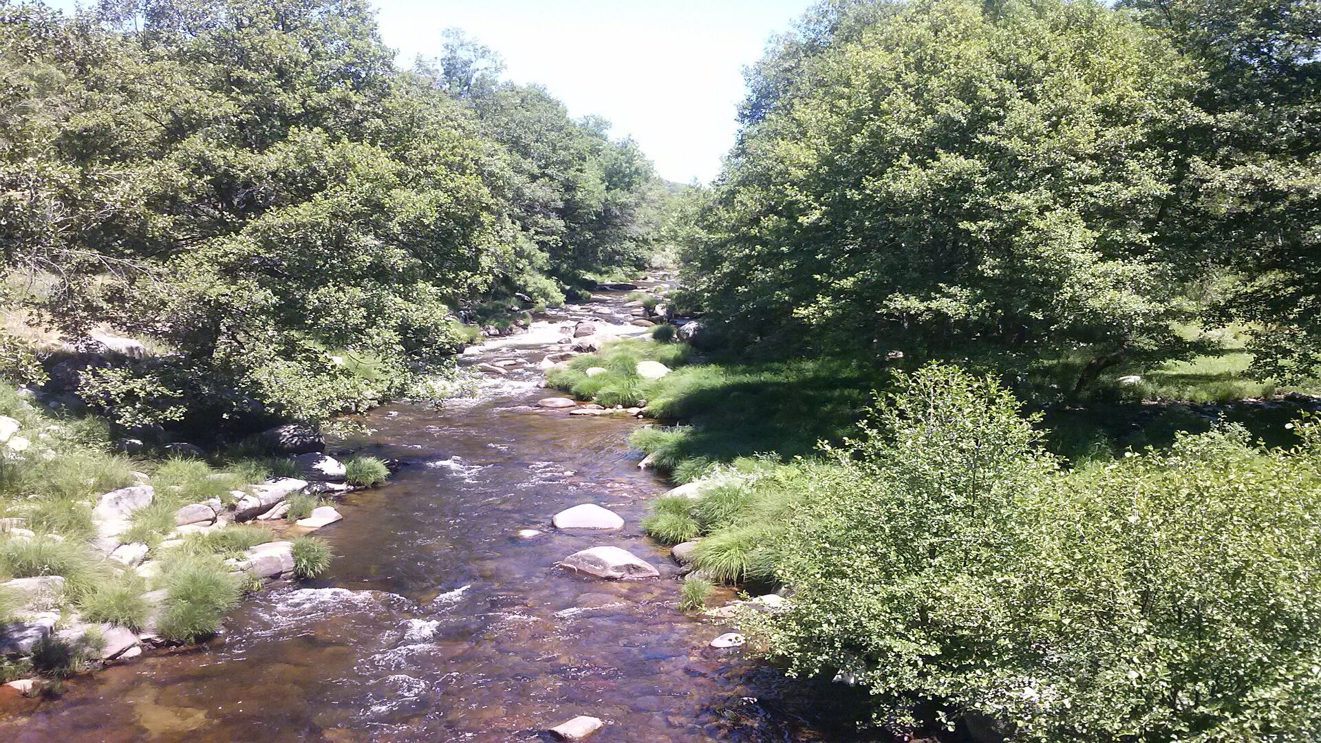 Un río que serpentea por una zona boscosa con rocas y vegetación.