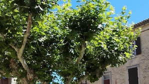 Une rue bordée d’arbres, avec un bâtiment en pierre doté d’une porte en bois et d’un balcon.