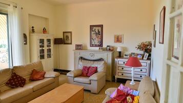 电视、DVD 播放器、书