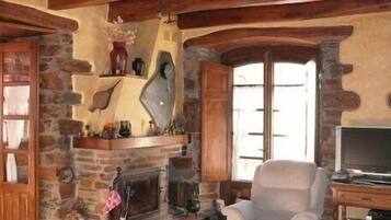 Televisión, chimenea y reproductor de DVD