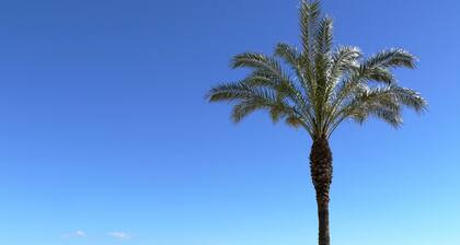 AQUAMARINA C HomeStay by Turismar