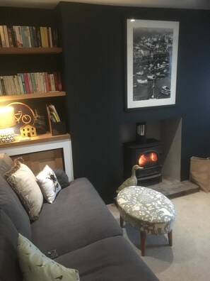 Televisión, chimenea, reproductor de DVD y libros