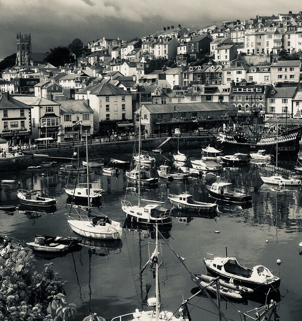 Marina - Stylish family cottage with stunning views of Brixham harbour. Dogs welcome. (Brixham)