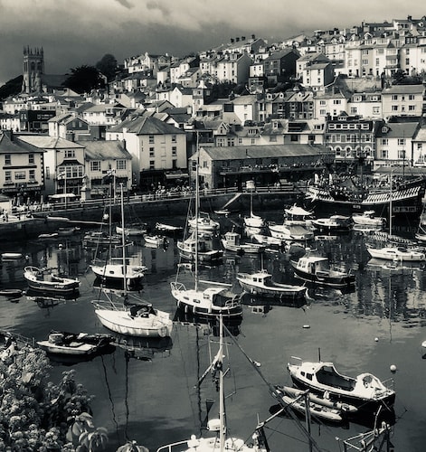 Élégant cottage familial offrant une vue imprenable sur le port de Brixham. Les chiens sont les bienvenus.