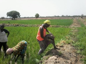 Enceinte de l’hébergement