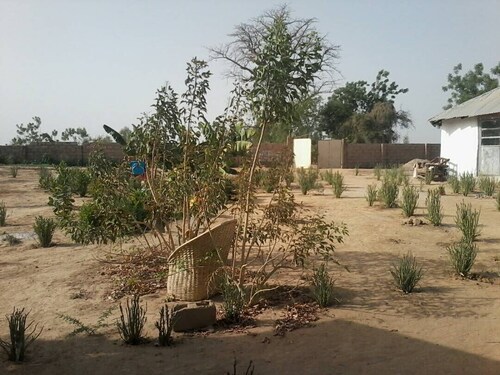 Camping sitaba Lodge 