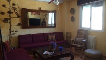 TV, video games, DVD player, books