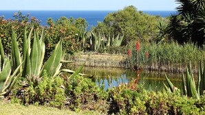 A garden with a pond, various plants, and a view of the ocean. - Villa Celeiro (Atalaia Velha, Lagos)