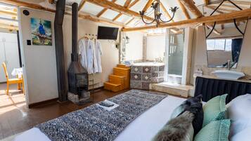 Een kamer met een bed, een open haard, een televisie en een badkamer met douche en wastafel.
