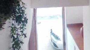 Una habitación con ventana, puerta que da al exterior y una planta colgando en la pared.