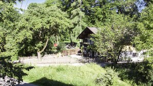 Ein rustikales Holzhaus, umgeben von dichtem Grün und einem Holzzaun.