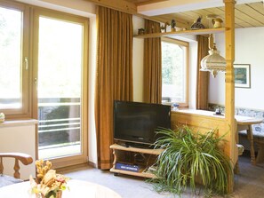 Fernseher, Tischtennisplatte