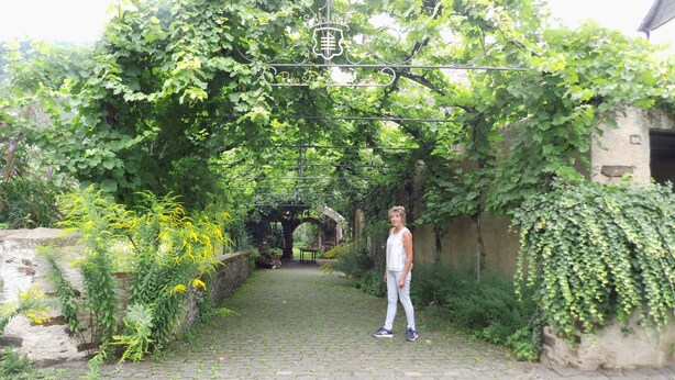 A person standing under a vine-covered archway with a sign that reads "Château Riche." - Moselle and Hunsrück - Enjoy the wine region and nature (Morbach)