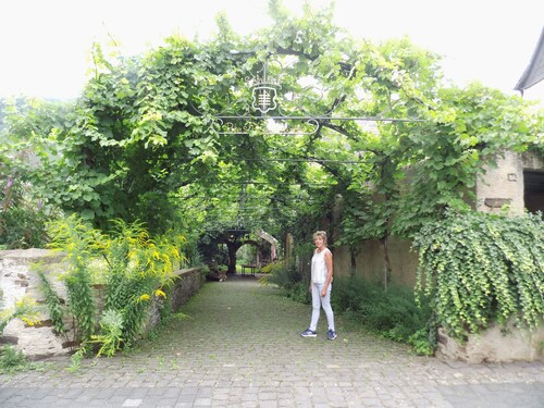 Moezel en Hunsrück - Genieten van de wijnstreek en de natuur