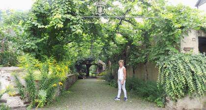 Moselle and Hunsrück - Enjoy the wine region and nature