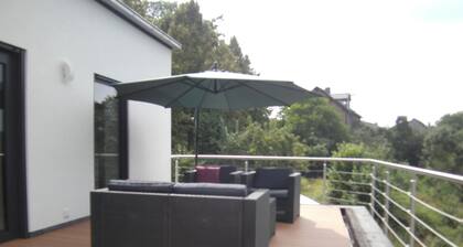 Moselle and Hunsrück - Enjoy the wine region and nature