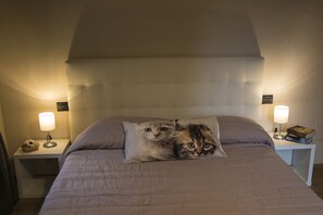 2 chambres, coffres-forts dans les chambres, fer et planche à repasser