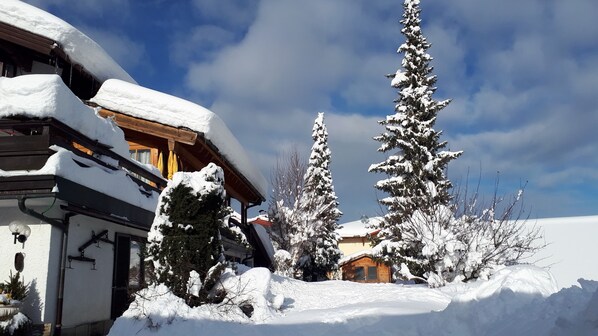 A snow-covered building with a wooden facade and a large tree in front.