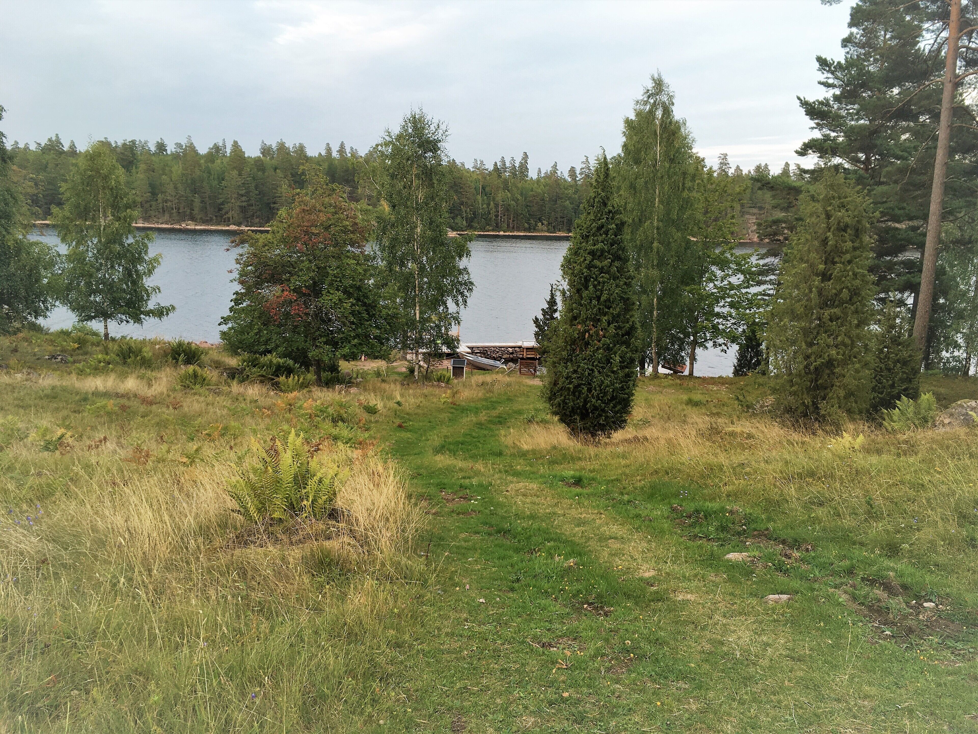 A grassy area with a small pond, surrounded by trees and a wooden dock.