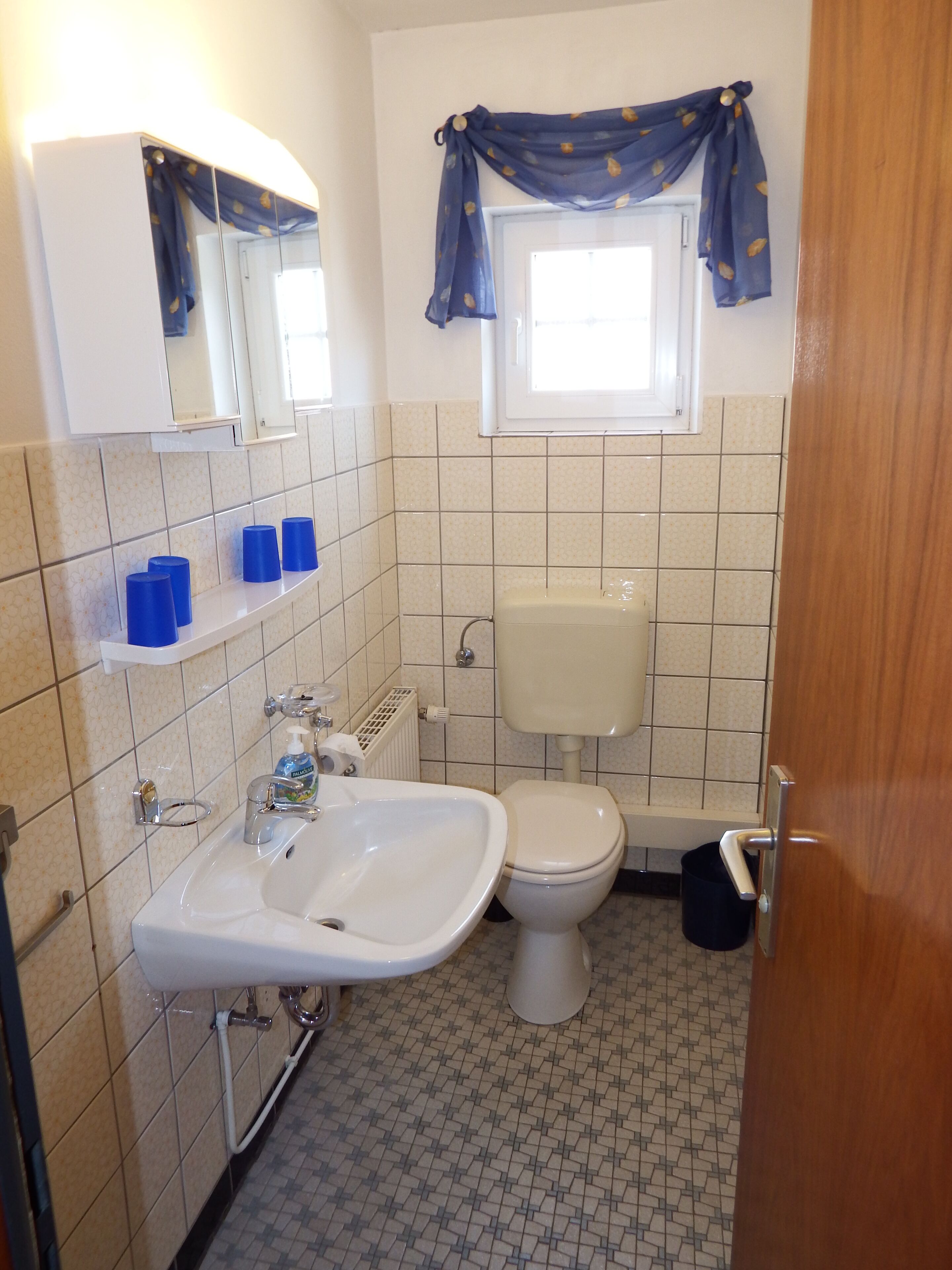 Ein Badezimmer mit einem weißen Waschbecken, einer Toilette und blauen Handtüchern auf einem Regal.
