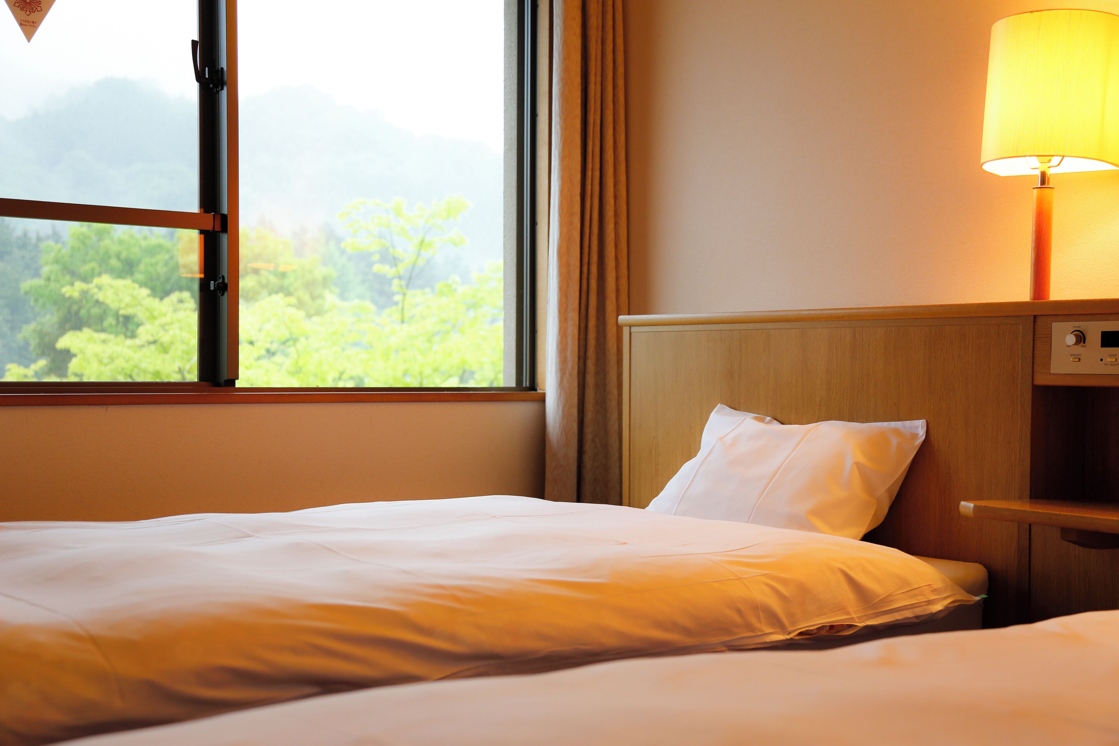 A hotel room with a bed, a nightstand, a lamp, and a window with a view of greenery.