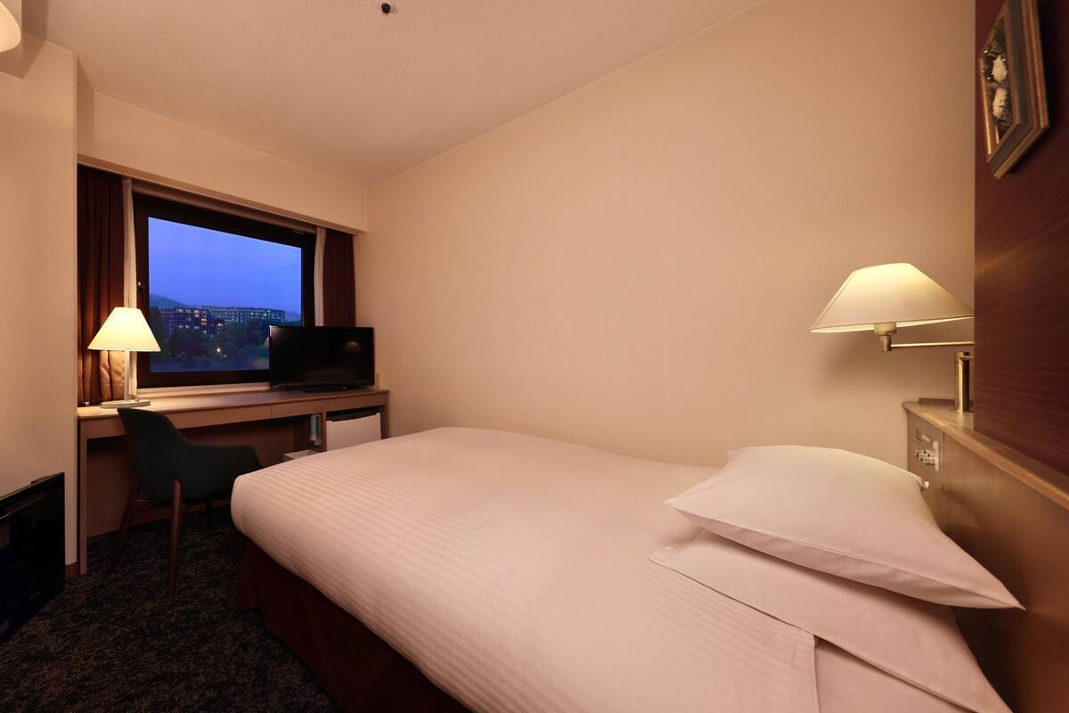A hotel room with a bed, desk, TV, and window with a city view.