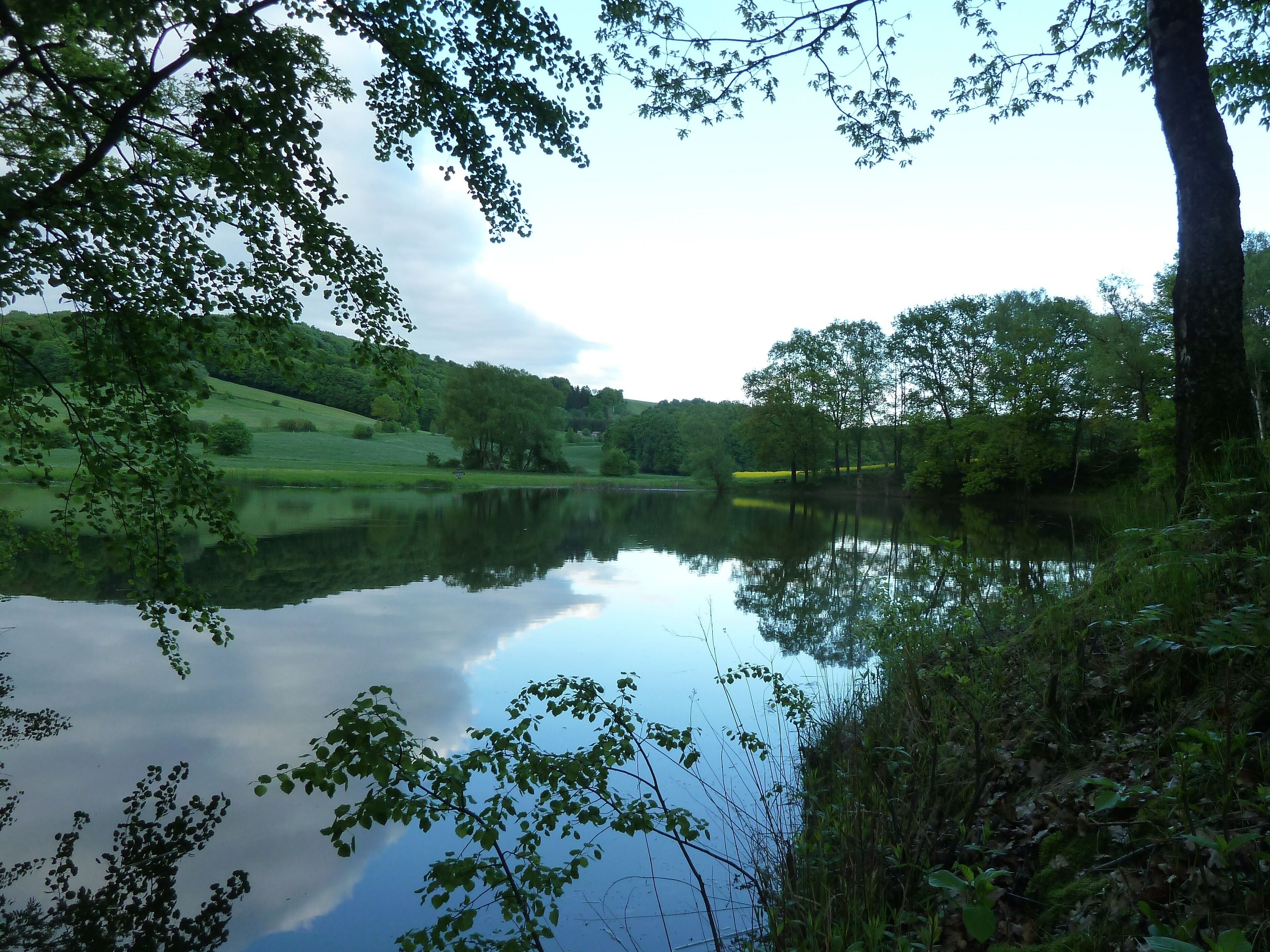 A serene lake surrounded by lush greenery and trees.